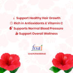 Hibiscus Flower Powder - Spice Heaven